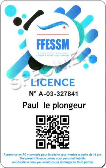 ffessm licence